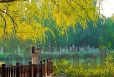 91麻豆映画传媒播放-91麻豆映画传媒的多元化内容视角，成人文化的独特魅力与创新方向
