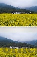 麻豆福利在线视频-探索网络内容时需理性态度