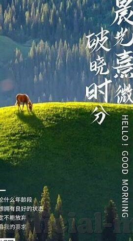 糖心app下载安装旧版-探索怀旧之心，重拾糖心App旧版之旅